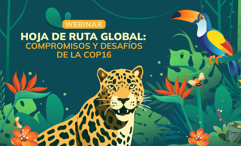 Hoja de ruta global: compromisos y desafíos de la COP16