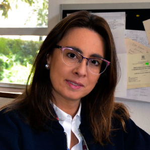 Catalina Botero, especialista en derecho constitucional